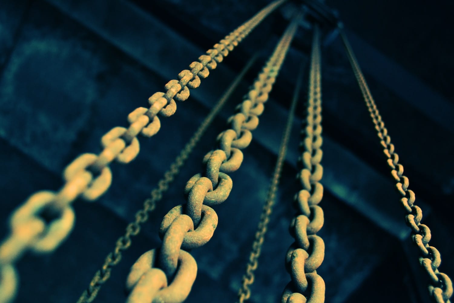 The 6 Essential Links for Success in The ‘Service Profit Chain’ Model