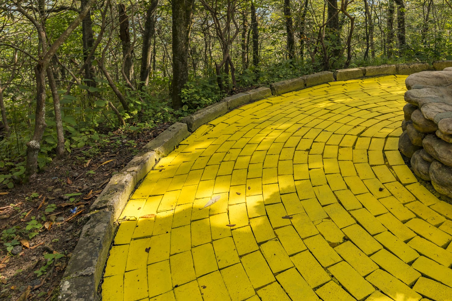 The Yellow Brick Road to Service Transformation