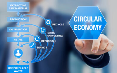 Service Is at the Heart of the Circular Economy